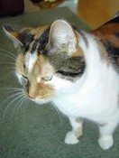 Saartje 04 (053).jpg